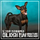 도그마루(왕십리점) 이미지