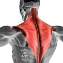 워너비 멀티짐 이미지