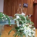 대전삼성성결교회 이미지