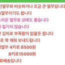 빛들농장 네이버블로그