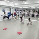 금메달 태권도 이미지