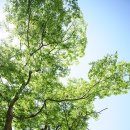 심청한옥마을 이미지