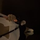 양덕동387 이미지