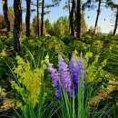 장자호수생태공원 이미지