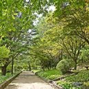 미동산수목원 이미지