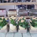 제천시장애인종합복지관 이미지