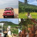 이도농장 | 나트랑 산티아고 판랑사막 투어 후기 (판랑사막, 양떼목장, 포도농장) / 내돈내산