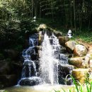 NR-24[죽향문화로]-하-40 | `09. 08. 28. 전남 담양