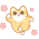 달보드레/루체레 이미지