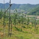 양지축사 이미지