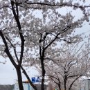 우송삼거리 이미지