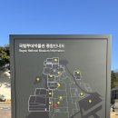 백제 | 부여박물관 백제대항로관 후기