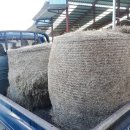 원형농장 이미지