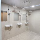 고 베어 짐 이미지