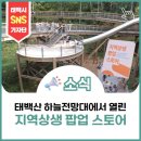 농업회사법인유한회사 정성팜 | 태백산 하늘전망대에 열린 &lt;지역상생 팝업스토어&gt;