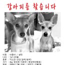 강서구-8 이미지