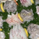 한바다식당 네이버블로그
