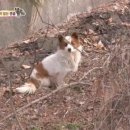 차쉼터 옆 이미지