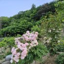 예사랑민박 이미지