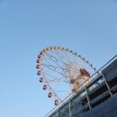 퍼팩트 샤인 광택 | 울산 남구 세차 퍼펙트샤인 삼산동스팀 실내 손 세차 레이