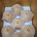 지오농장 이미지