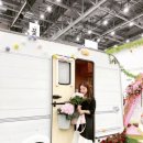 &lt;제14회 대구꽃박람회&gt; 국내 최대 실내 플라워쇼💐