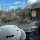 모닝관광버스협동조합 | 일본 자동차 여행 4일차｜유후인 주차 + 뱃부 이동 후기