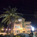 제주로와 | 서귀포 펜션 제주로와, 크리스마스 감성 가득했던 숙소 후기