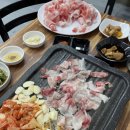 돈앤대패