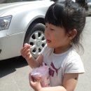 수림목장 이미지