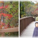 삼양펜션 이미지