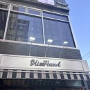 블리스라운드 디저트 추천 &amp;후기 (마카롱·쿠키·휘낭시에)