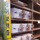 성사동 장어집 이미지