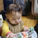 퍼스트홈파티스 스튜디오 증산점 | #6. 임신 29주 30주 31주 32주 증상 (미래로 병원 입체 초음파, 만삭 촬영, 백일해 접종)