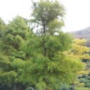 대왕농원 이미지