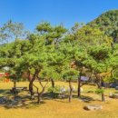 남녀노소 즐기는, 전래놀이 한마당 이미지