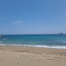 제주사계 이미지