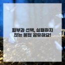 에시르의원 | 거울 볼 때마다 '어머나!' 싶으신가요? 제 솔직한 피부과 경험담 풀어볼게요!