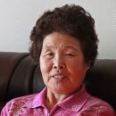 남순옥 Daum카페