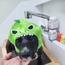 애플스파 이미지