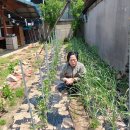 현대이용소 이미지