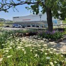 변산관광안내소 이미지