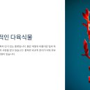 애플다육 이미지