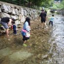 주록리계곡 루돌프 | 아이와 함께 갈 만한, 여주 #주록리계곡 (feat. #루돌프)