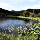 청주 우암산성淸州 牛岩山城 | 상당산성[上黨山城]