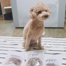 간식파는남자 이미지