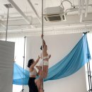 [세종폴댄스] 메리골드 폴댄스 취미반 폴프로필 3기💋