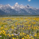 (주)인디펜던스 | 미국국립공원 입장료 일인당 $100 인상 예정 - 2026.1.1일부