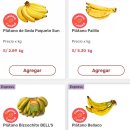 종보농장 이미지