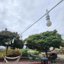 곽지머물다 이미지